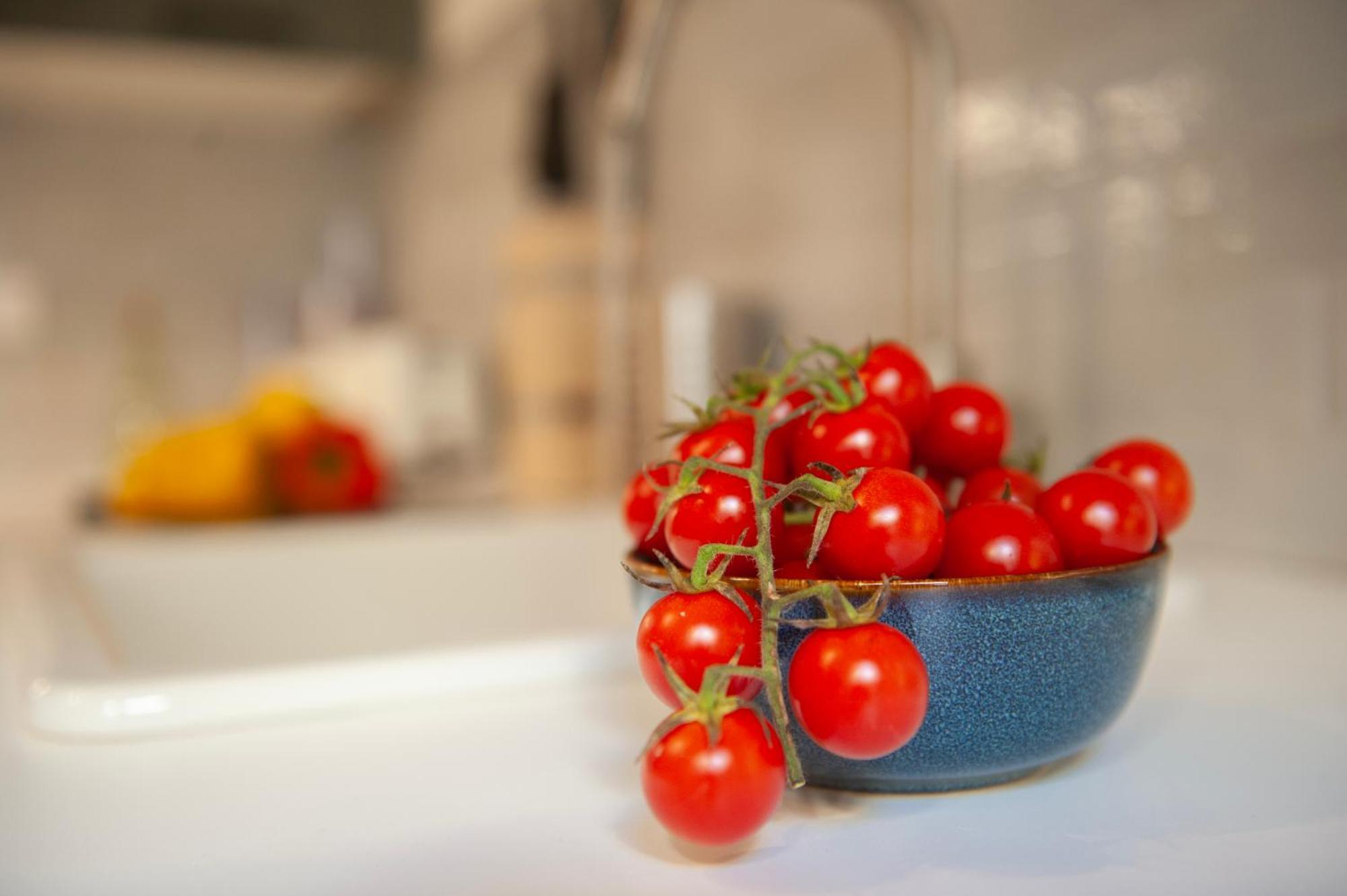 Canto Rivolto - Flo Apartments Firenze Eksteriør billede